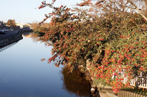 Newry Canal